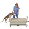 Olympic Elite Exam Lift Table with scale 51203