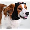 Buster Ear Cover X Small - XX Large 6 Pack