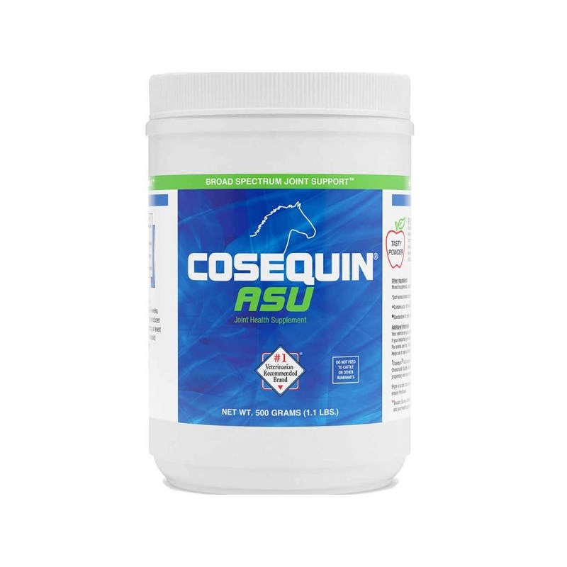 Cosequin ASU Powder 500gm