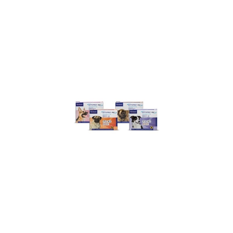 Effipro Plus Dog Small 10 X 3 Dose