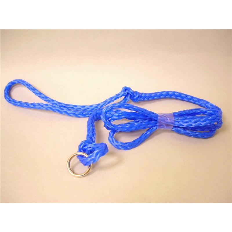 Round Leashes Blue 48&quot;