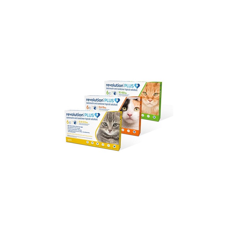 Revolution Plus Cat Gold 2.8-5.5Lb 3ds Card  (Must purchase a minimum of 5 cards)