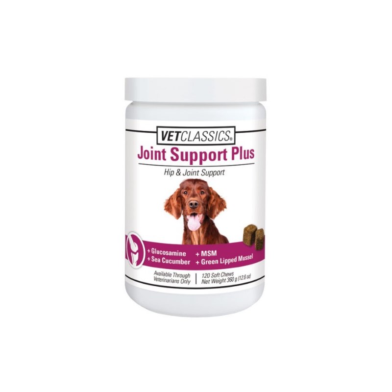Joint Support Plus Soft Chews 120ct