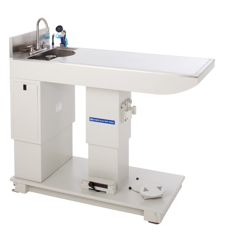 Olympic Hi-Lo Wet Table With Stainless Steel Exam Top