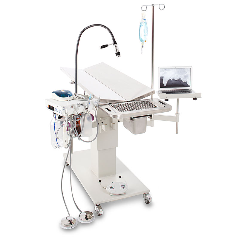 Olympic Advanced Dental Table  (base unit with warming, 2 Swing Arms, IV Pole, and Light)