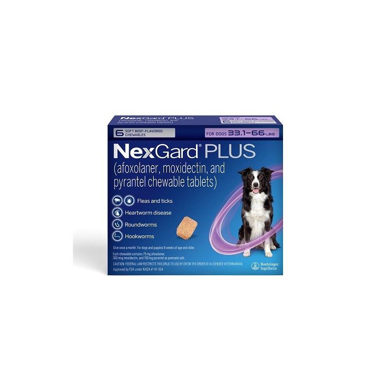 NexGard Plus Soft Chews for Dogs 33.1-66lbs (6 dose x 10) Purple