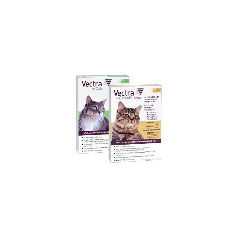 Vectra Cat 9lb And Over Single Dose 36ct
