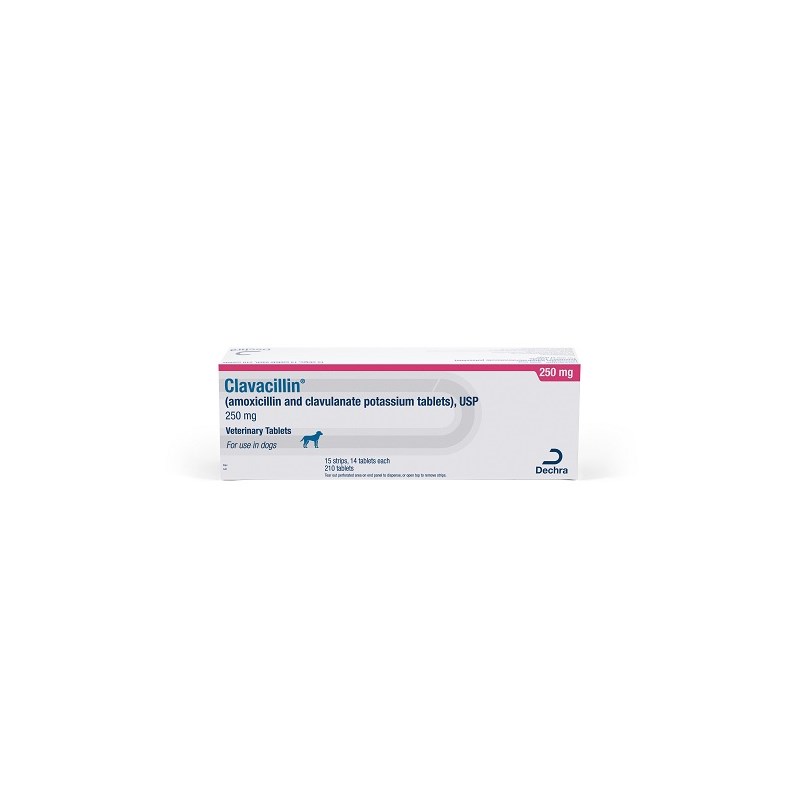 Clavacillin Tab 250mg 210ct (amoxicillin and clavulanate potassium)