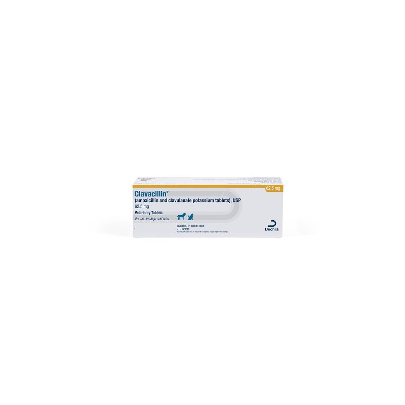 Clavacillin Tab 62.5mg 210ct (amoxicillin and clavulanate potassium)