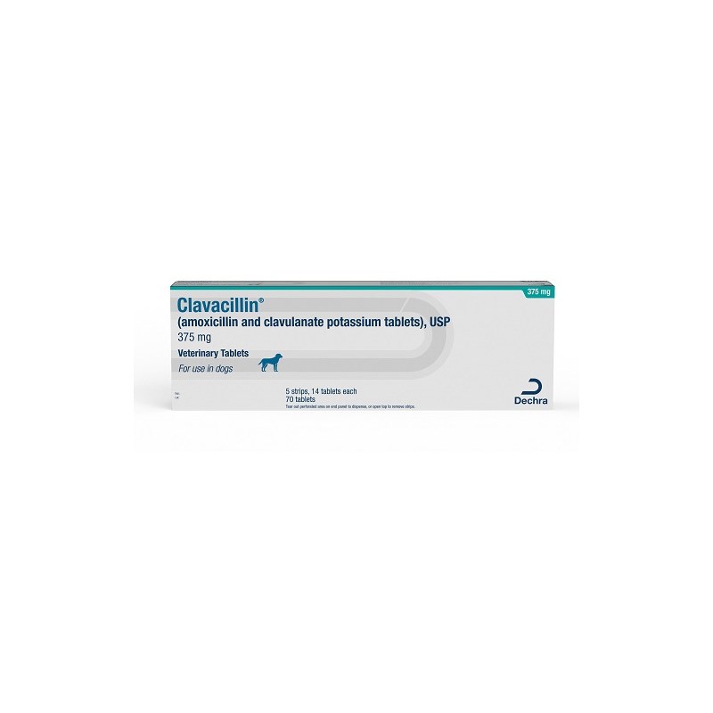 Clavacillin Tab 375mg 70ct (amoxicillin and clavulanate potassium)