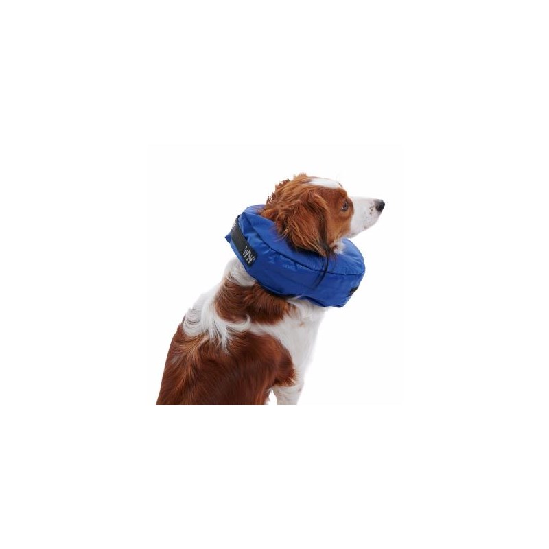 Buster Inflatable Collar Large Blue