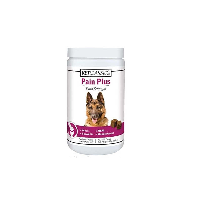 Pain Plus Soft Chews For Dogs 120ct