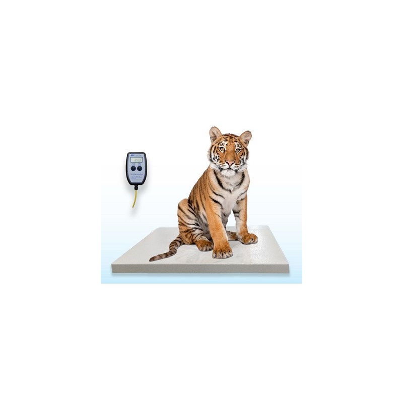 SR Scale Zoo Platform Wired with Remote Display36&quot; x 54&quot;