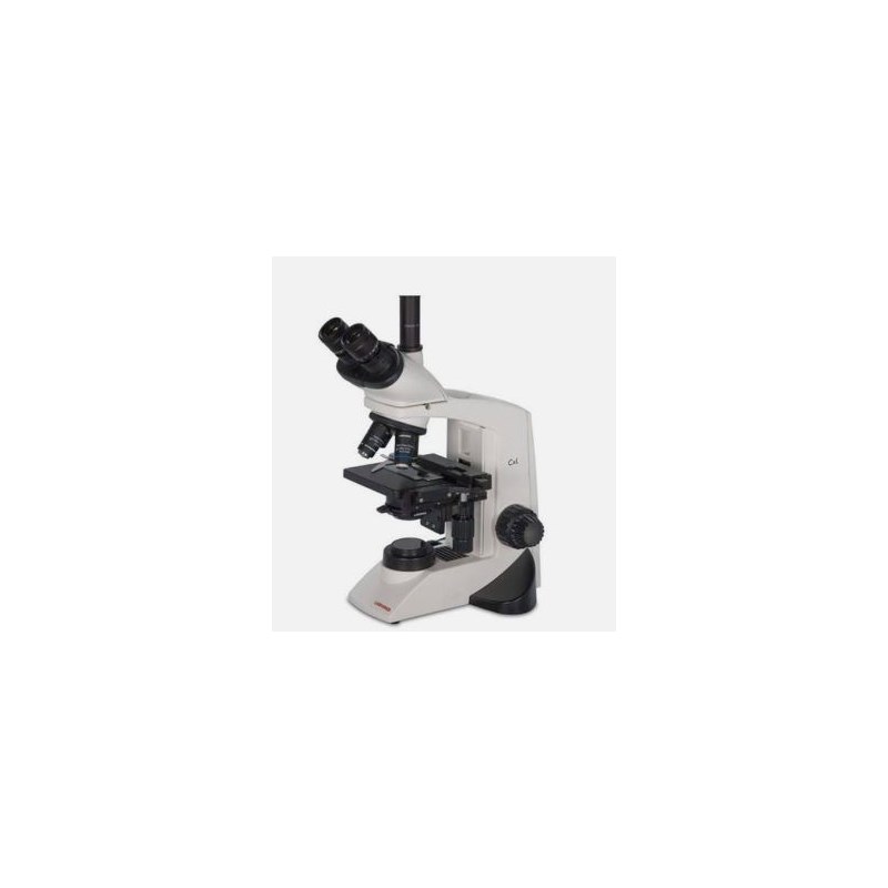 Wesco CXL Binocular Microscope