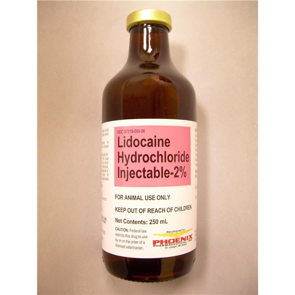 Lidocaine Injection 2% 250ml