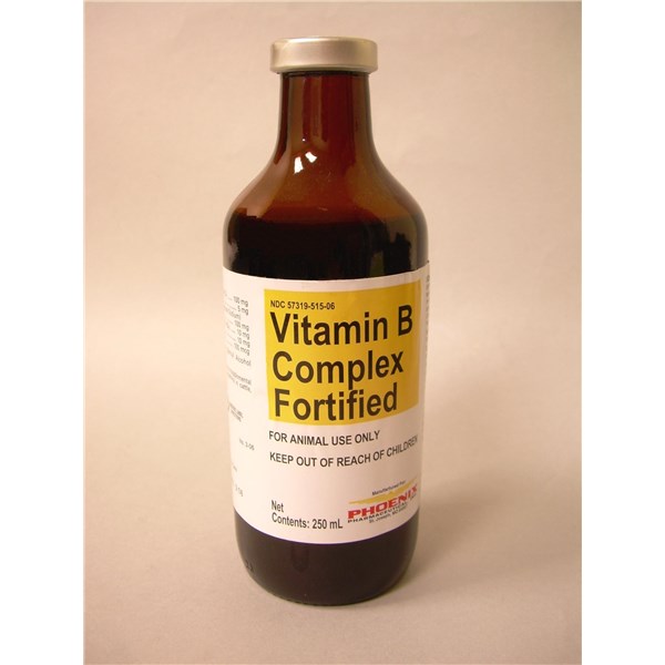Vitamin B Complex Fortified Injection 250ml