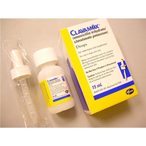 Clavamox Drops 62.5mg/ml 15ml 12ct