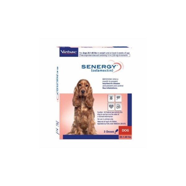 Senergy Dog 20.1-40lbs SINGLE CARD 3ds/card  120mg