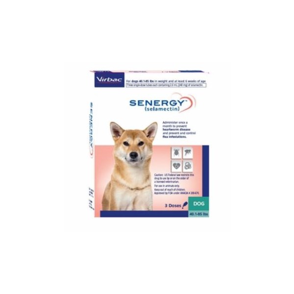 Senergy Dog 40.1-85lbs SINGLE CARD 3ds/card  240mg