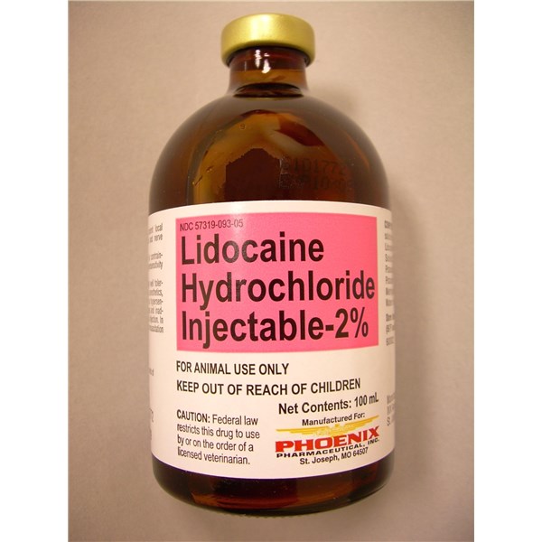 Lidocaine Injection 2% 100ml
