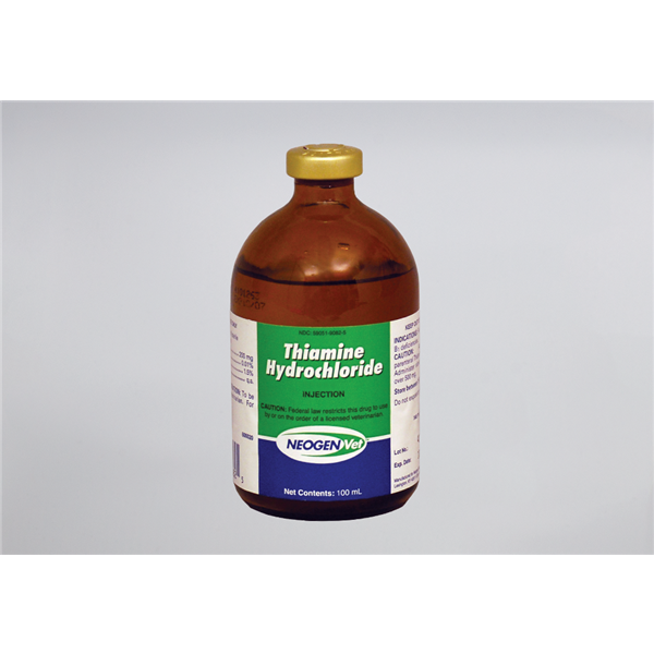 Thiamine HCl Injection 500mg 100ml