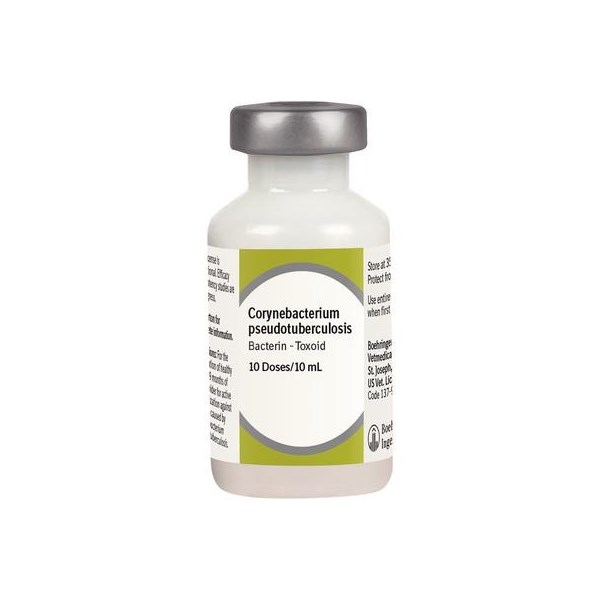 Corynebacterium Pseudotuberculosis 10ml