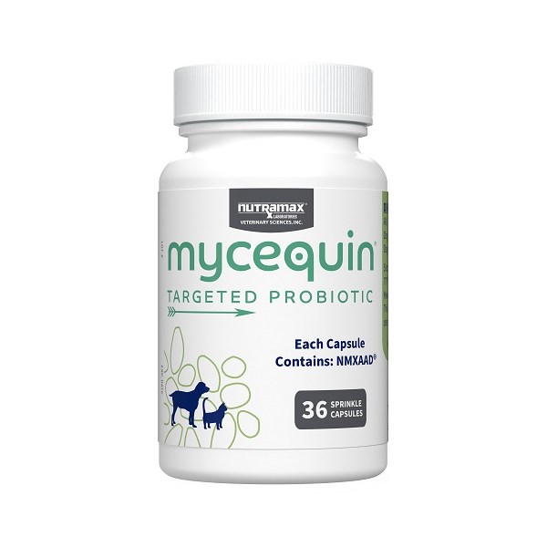 Mycequin Probiotic Caps 36ct