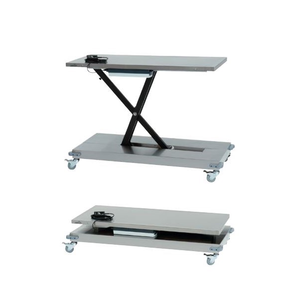 Mobile Electric Lift Table