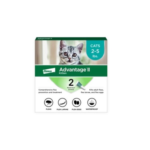 Advantage II Kitten Turquoise  0-5lbs  2pk  6 cards/bx