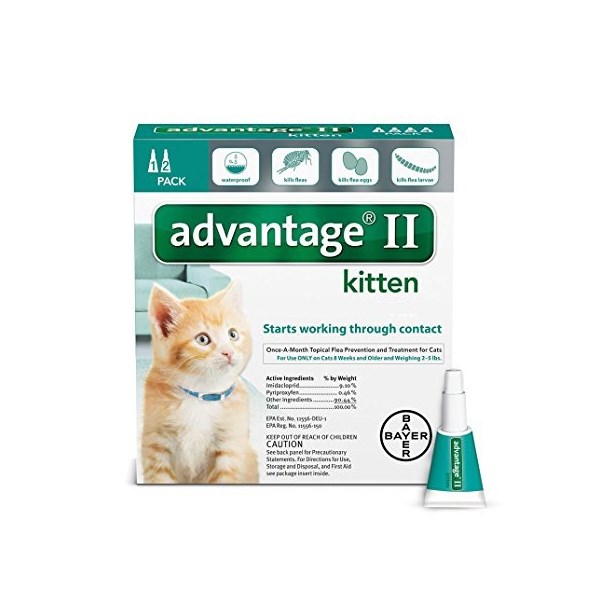 Advantage II Kitten Turquoise  0-5lbs  2pk