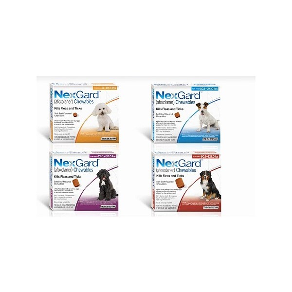 NexGard Soft Chew Medium Dog 10.1-24Lb 6ds X 10 Blue