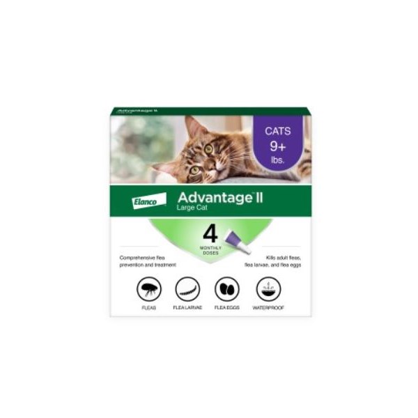 Advantage II Cat Purple 9-18lb  4 month  6 cards/bx