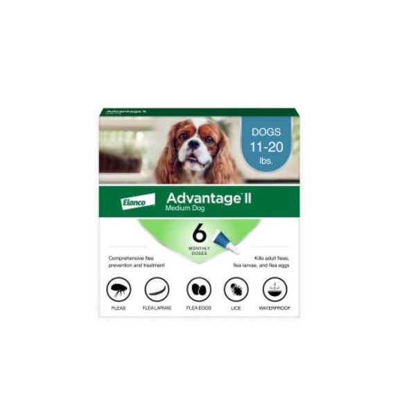 Advantage II Dog Teal 11-20lb 6 month  6 cards/bx