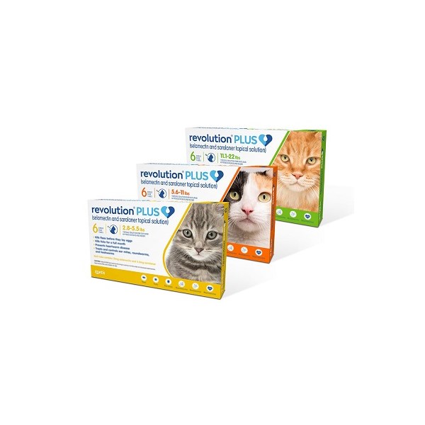 Revolution Plus Cat Orange 5.6-11Lb 3ds Card  (Must purchase a minimum of 5 cards)