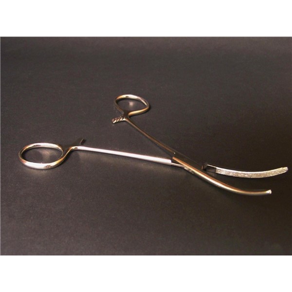 Rochester Carmalt Forcep 6-1/4&quot; Curved Economy