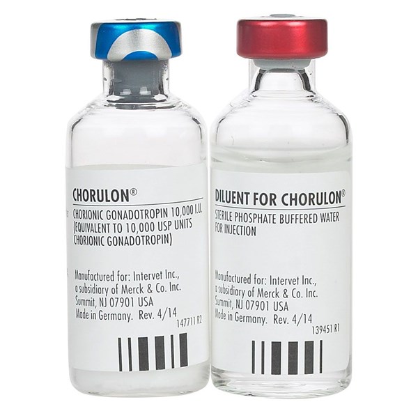 Chorulon Injection 10,000U 10ml Chorionic