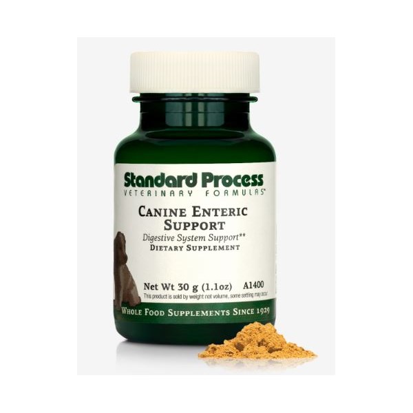 Canine Enteric Support 30gm