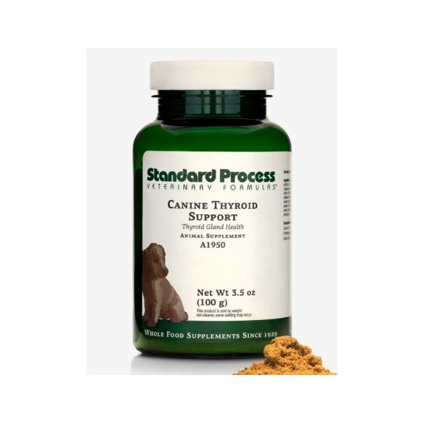 Canine Thyroid Support 100gm