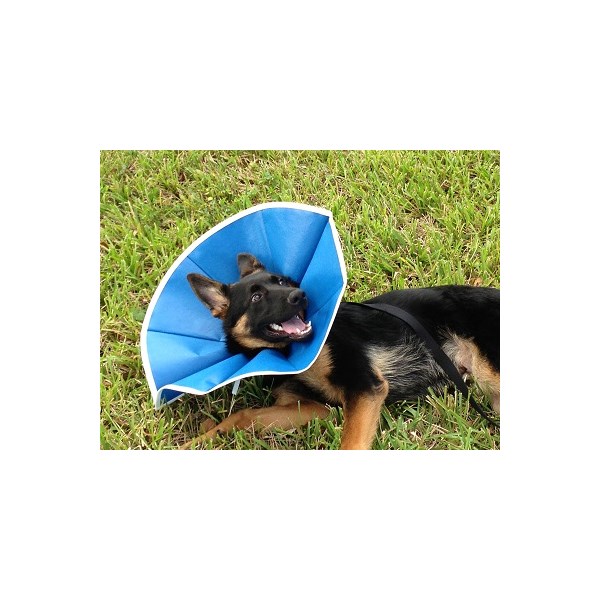 Recovery Collar Blue Cloth Cat 5-1/2&quot;