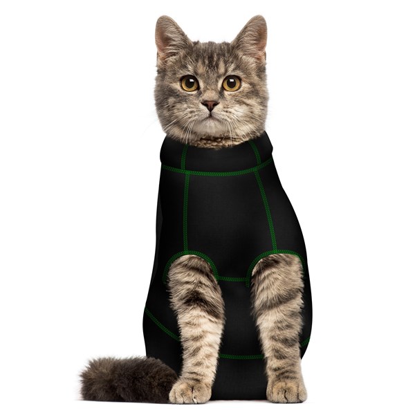 Medipaw Cat 2 Piece Suit Large 14&quot; Green