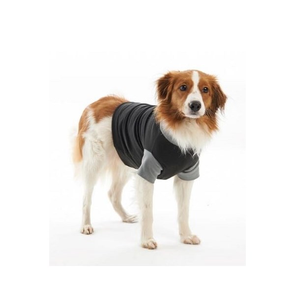 Buster Classic Body Suit Dog X Small 39cm Black / Grey 273970