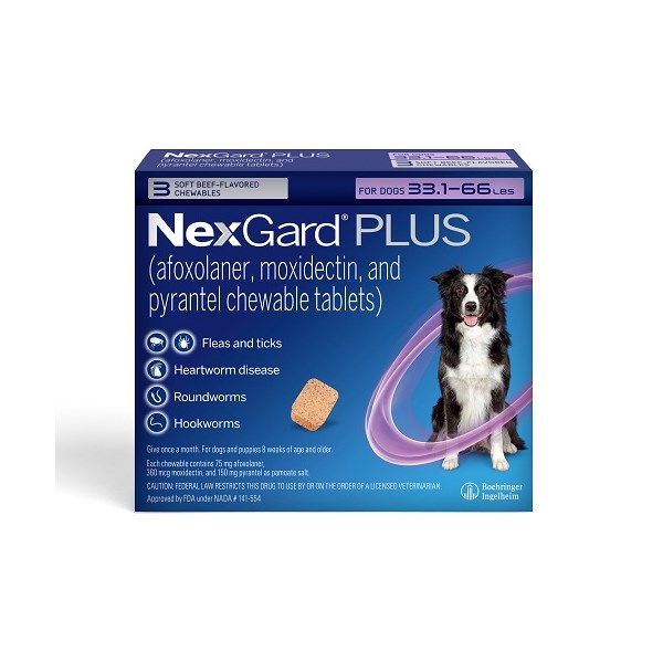 NexGard Plus Soft Chews for Dogs 33.1-66lbs (3 dose x 10) Purple