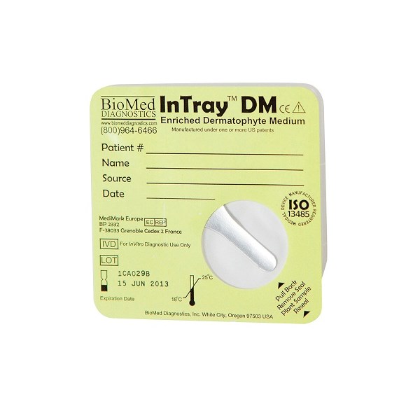 DTM Intray 20ct