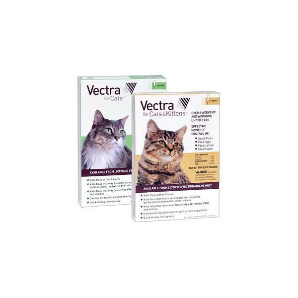 Vectra Cat/Kitten Under 9lb Single Dose 36ct