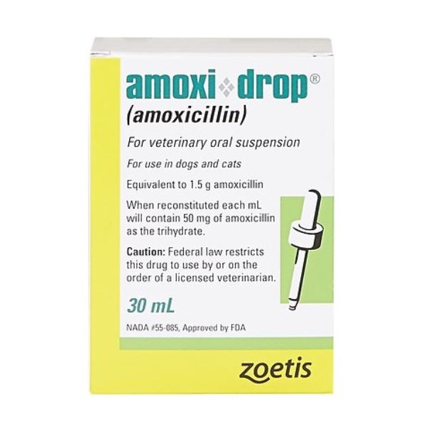 Amoxi Drops 50mg 30ml 12/pk