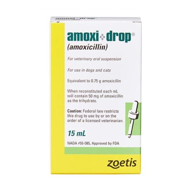 Amoxi Drops 50mg 15ml 12/pk