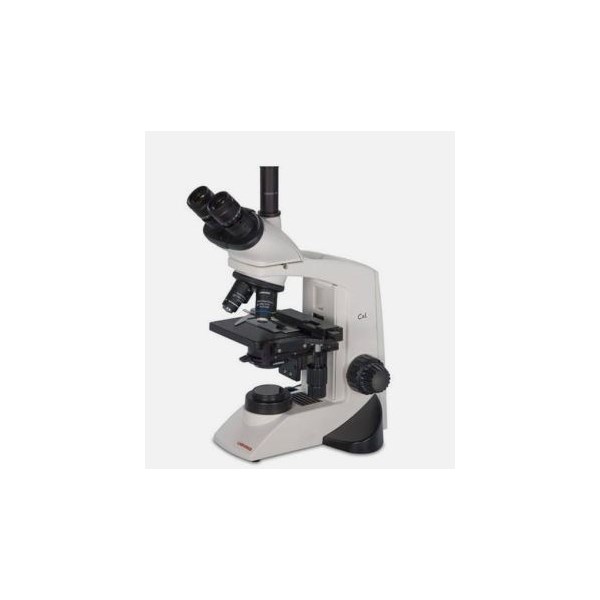 Wesco CXL Binocular Microscope