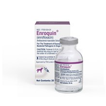 Enroquin Injection 22.7mg/ml 20ml  (Enrofloxacin)
