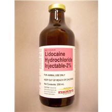 Lidocaine Injection 2% 250ml
