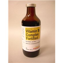 Vitamin B Complex Fortified Injection 250ml